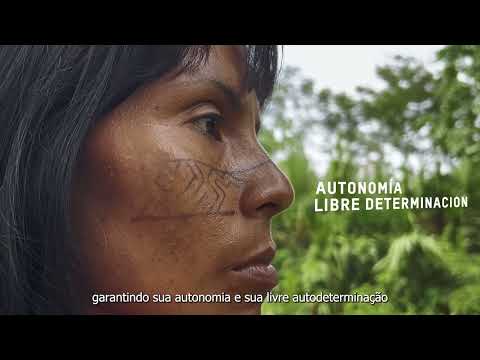 Saving the Amazon to Save the Planet: Towards COP27