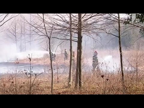 კლიმატის ცვლილება და გახშირებული ხანძრები