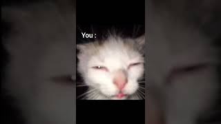 squint your eyes #memes #funny