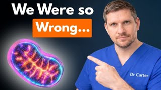 7 Foods That Build New Mitochondria — Backed by Science | Dr. Carter