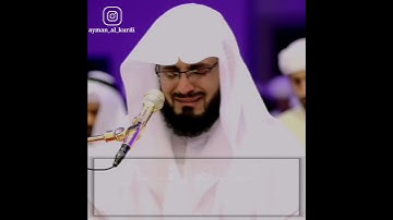 حالات واتس اب دينيه رعد الكردي | تلاوه مبكية ومؤثرة من سورة طه