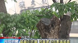 20140507公視晚間新聞－大巨蛋移樹爭議 北市下令暫停移植