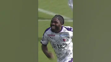 A Left Footed Half Volley By Peter Utaka 
