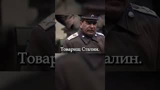 Самое большое поражение Сталина #ссср #история #анекдоты #сталин