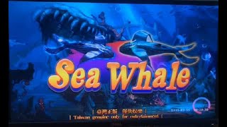 Sea Whale Fish hunter skill shooting gambling table game machine screenshot 3