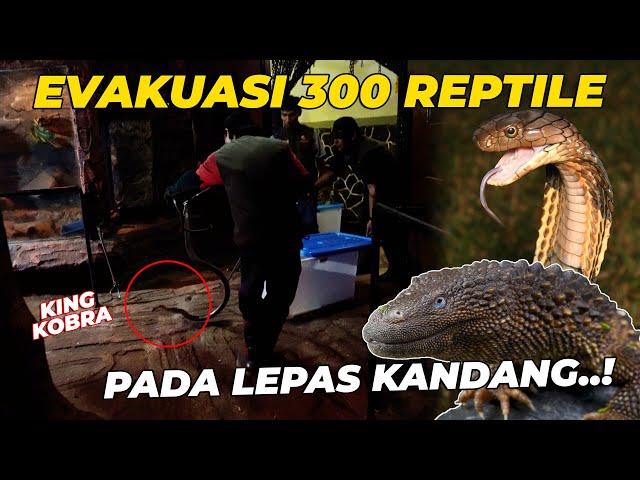 Xotin qiz dostlarini eriga olib keldi