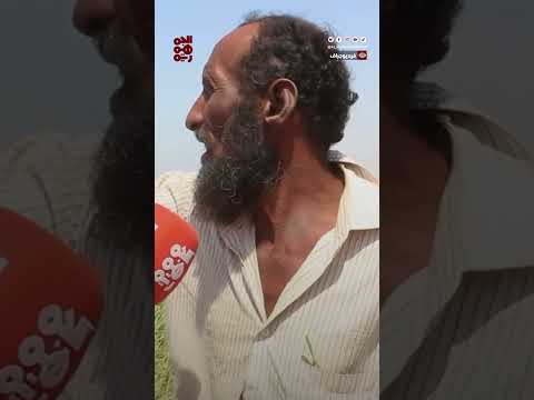 زحف الرمال... هل يقضي على الزراعة بالحديدة؟ #سهل_تهامة #الكثبان_الرملية #قناة_الجمهورية #yemen