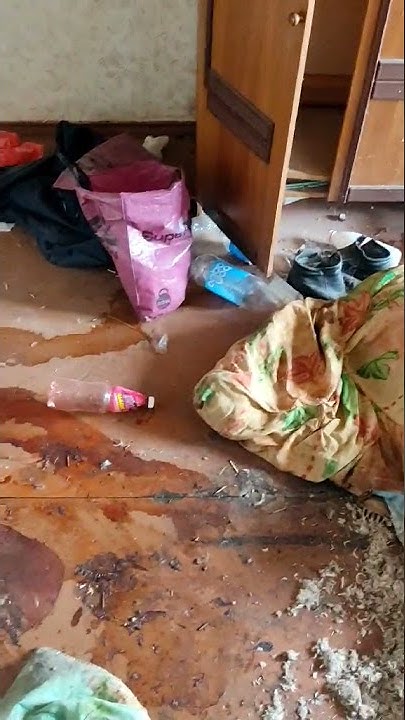 Уборка после смерти Минск. Уборка квартиры после асоциальных людей ...