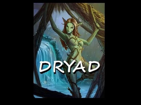 Video: Unik Dryad