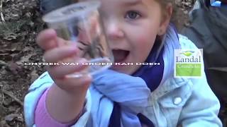 Waarnaartoe Tijdens De Herfstvakantie 2018? Landal Greenparks