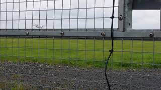 Flybe Bombardier Dhc 8 Q400 Series