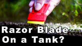 A Game Changing Razor Blade ??! Stress Free Aquarium Cleaning! screenshot 5