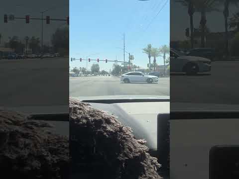 Vegas drivers suck