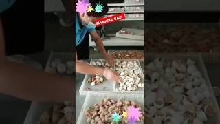 pigeon farm in china 😱🕊️🕊️ #short #shorts #viral #trending #pigeon screenshot 1