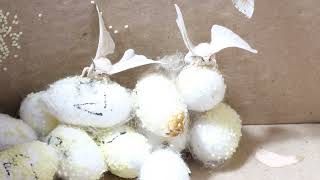 How do silkworm cocoons transform into moths and lay eggs