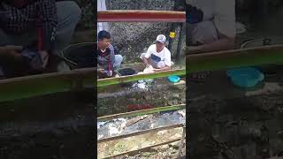 Borongan Cuci Piring #shorts