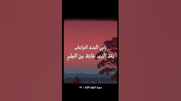 #قرآن كريم | تلاوة جميلة سورة البقرة الآية : ١٢٠ | #quran 🤍