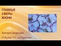 Проект &quot;Жажда Жизни&quot;: 8. Главные сферы жизни. Самосовершенствование и достижение внутреннего баланса