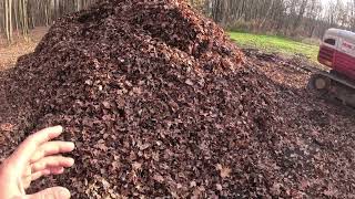 Mixing the Leaves with compost to speed up the process