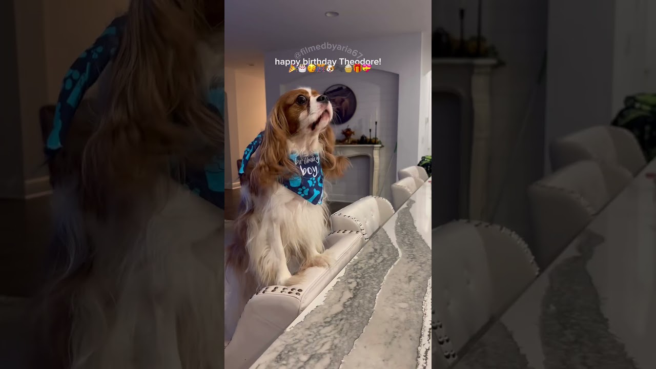 SPAM HAPPY BDAY THEO! 