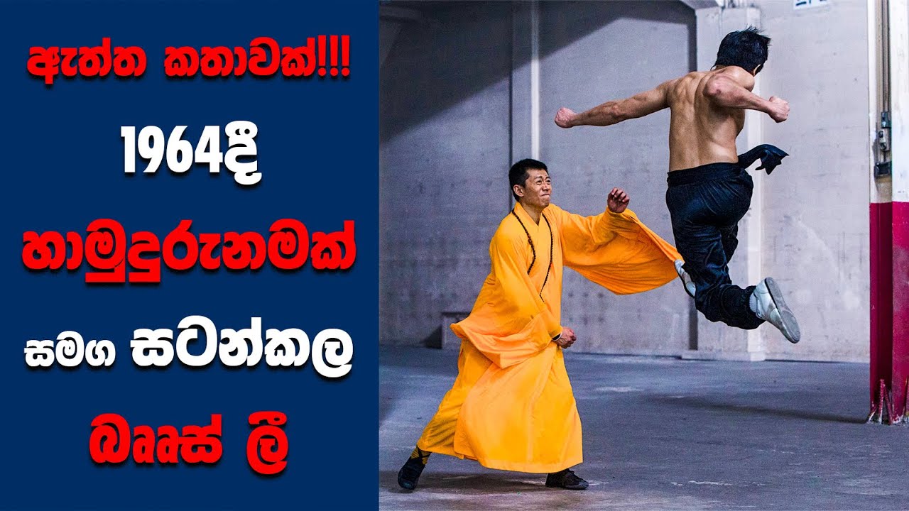 "Birth of the Dragon" සිංහල Movie Review | Ending Explained Sinhala | Sinhala Movie Review
