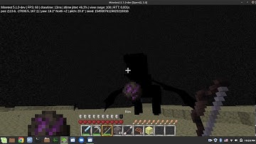Minetest MineClone2 Ender Dragon fight (WIP)