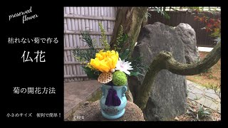 【菊の開花方法】プリザーブドフラワー仏花アレンジの作り方／仏壇に置ける小さいサイズ／CREA花教室#80