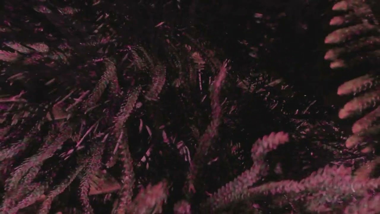 PHANTASMAGORIA (MICROSHORT FILM)