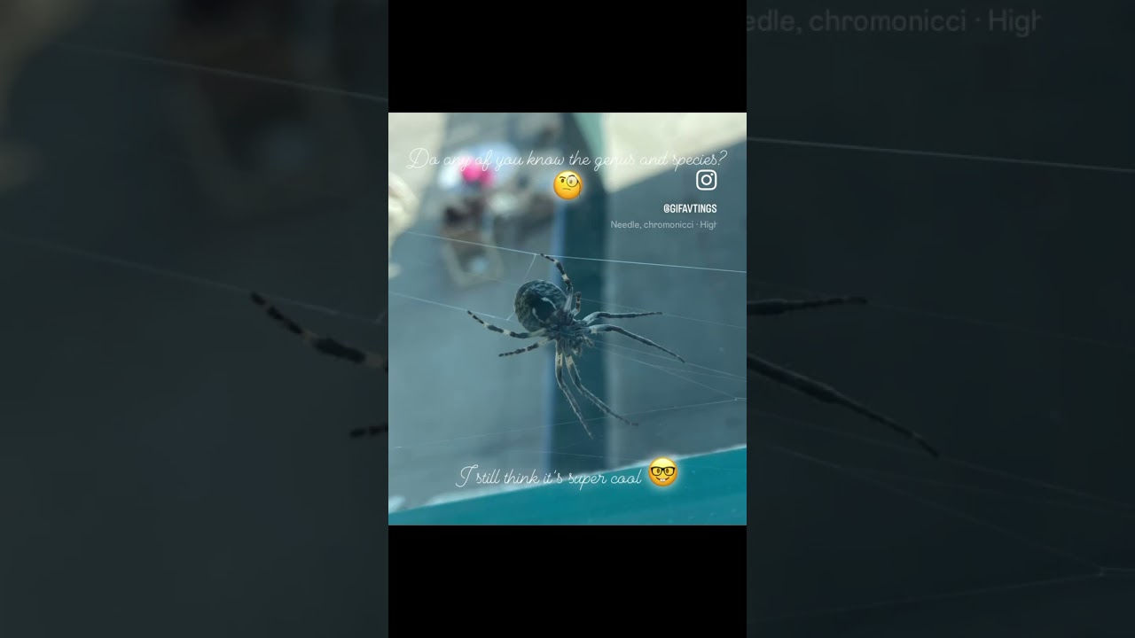 What genus and species is this? 