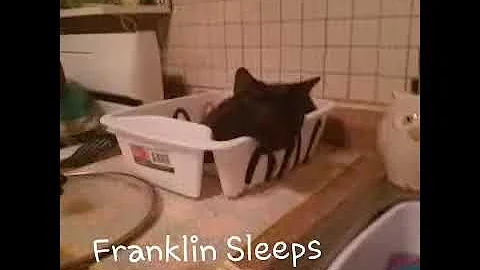 Franklin Sleeping in Weird Places
