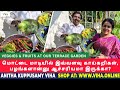         anitha  kuppusamy terrace garden vlog