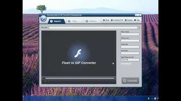 How to Convert Flash .swf to GIF file?