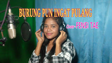 BURUNG PUN INGAT PULANG-(Nia Daniaty)Cover-FENSI TAE-ARTIS MALAKA Chanell (AMC)