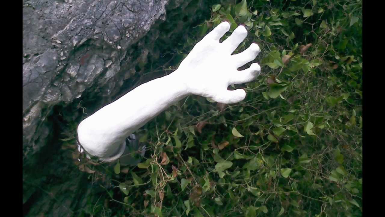 Carrícola y su sendero mágico