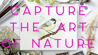 How to Paint a Watercolour Chickadee