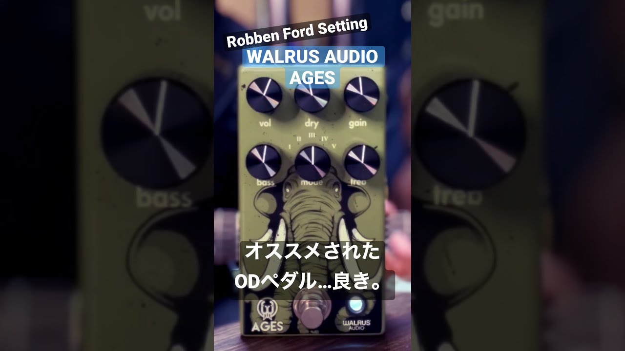 Walrus Audio Ages ギターエフェクター Walrus Audio Ages
