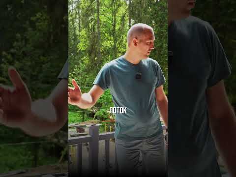 ВОТ КАК БОРОТЬСЯ