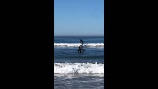 San Elijo State Beach Camping by Artist Esmeralda 2 views 1 year ago 2 minutes, 1 second