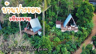 เที่ยวปางขอน นอนไร่กาแฟอาราบิก้า ครอบครัวมะ |Chiang Rai