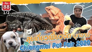 ลุยเดี่ยวเฟี้ยวจัด บุกงาน Chiangmai Pet Fair 2020 - เพื่อนรักสัตว์เอ้ย EP.88 [1/2]
