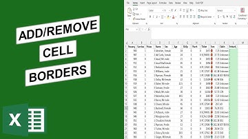 How to Add or Remove Cell Borders in Excel: Episode 05