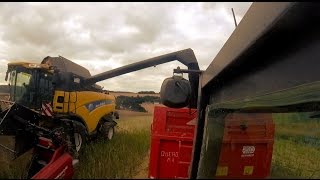 [Gopro] Moisson Colza 2016 l ETA Bellec l New Holland CX8070 l harvest 2016
