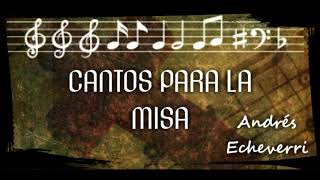 Video thumbnail of "CRISTO TE NECESITA PARA AMAR - (Cesáreo Gabaráin) Andrés Echeverri"