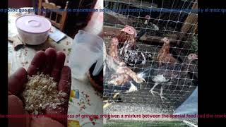 Producto De Aprendizaje Y Prueba Oral M1