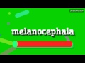 MELANOCEPHALA HOW TO PRONOUNCE IT