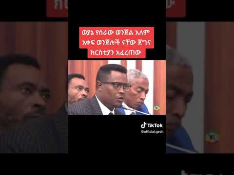ወያኔ የፈፀማቸው ወንጀሎች አለማቀፍ ወንጀሎች ናቸው ክርስቲያን ታደለ