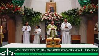 XVI Domingo Del Tiempo Ordinario