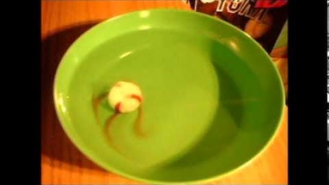 Mint Dissolving Time Lapse