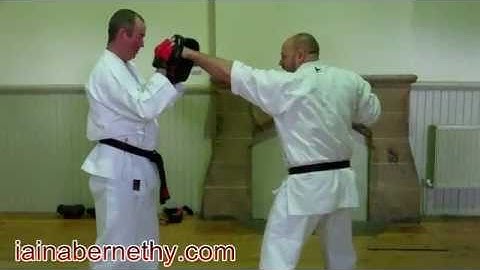 Practical Kata Bunkai: Basic Impact Drill