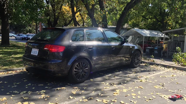 Audi A3 2.0T- Muffler Delete